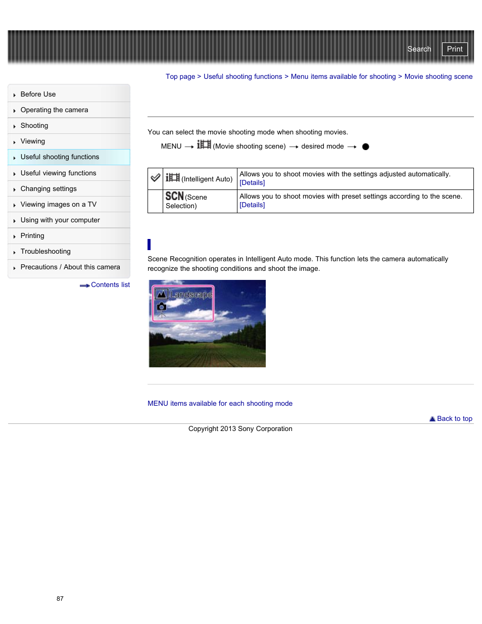 Movie shooting scene, Cyber-shot user guide | Sony DSC-WX300 User Manual | Page 93 / 244