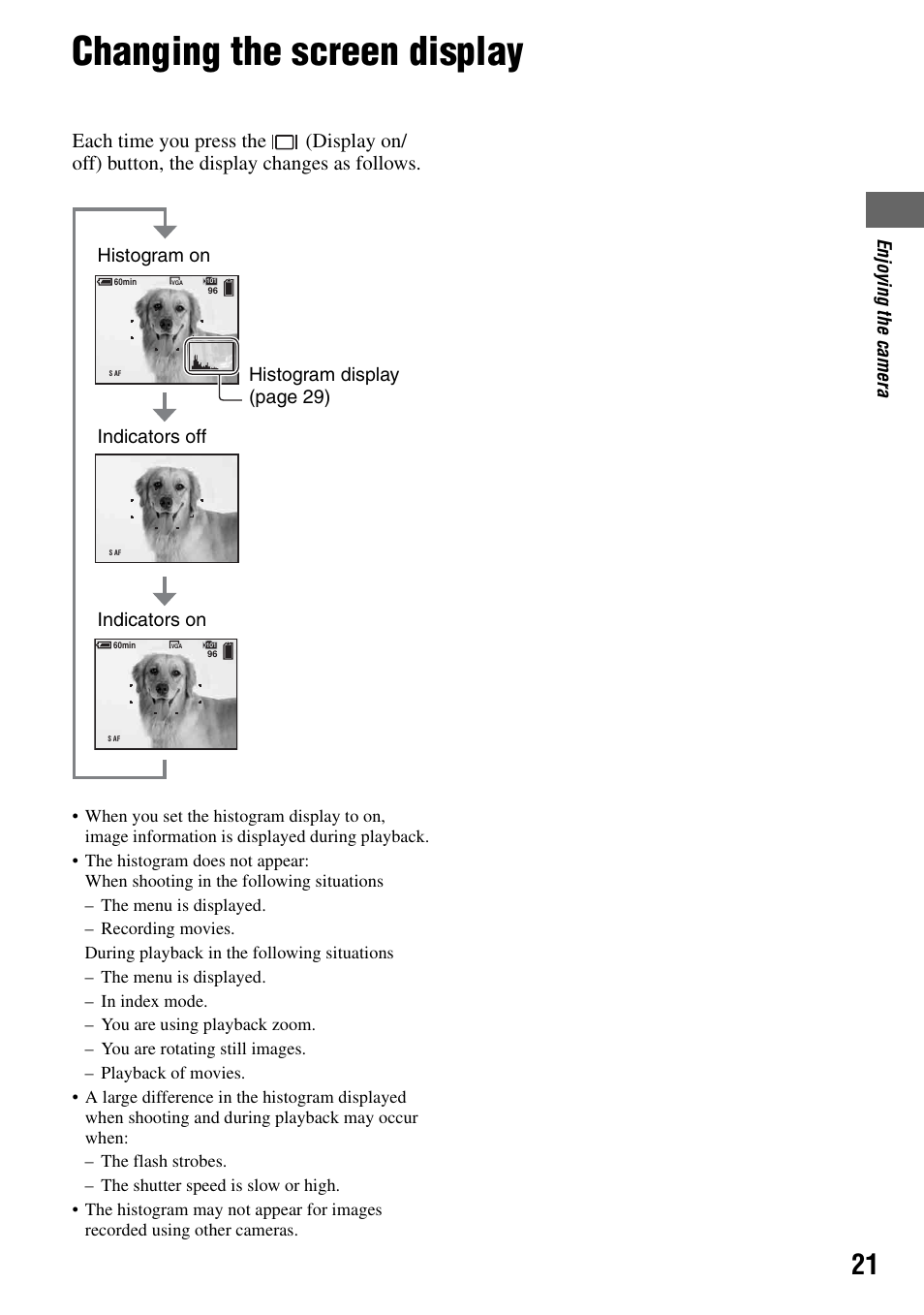 Changing the screen display, N (21), M (21 | Ram (21 | Sony DSC-T7 User Manual | Page 21 / 103