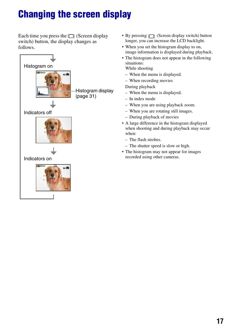 Changing the screen display, L (17, Tton (17) | Sony DSC-T50 User Manual | Page 17 / 120