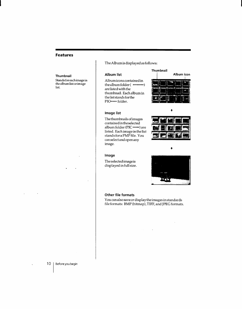 Album list, Image list, Image | Other file formats, Images, Wiibmg | Sony DSC-F1 User Manual | Page 10 / 127