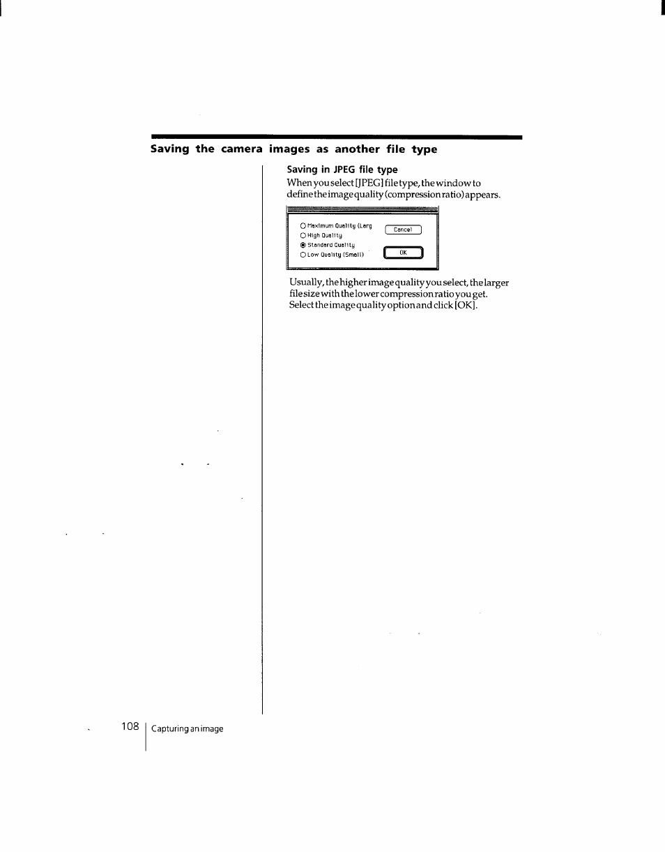 Saving in jpeg file type, Saving the camera images as another file type | Sony DSC-F1 User Manual | Page 108 / 127