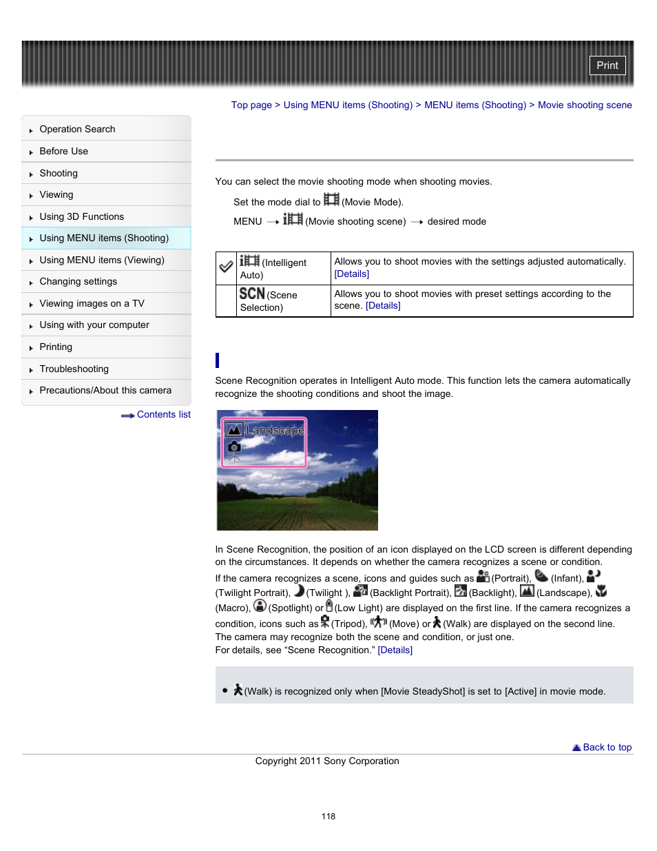 Movie shooting scene | Sony DSC-HX100V User Manual | Page 118 / 297