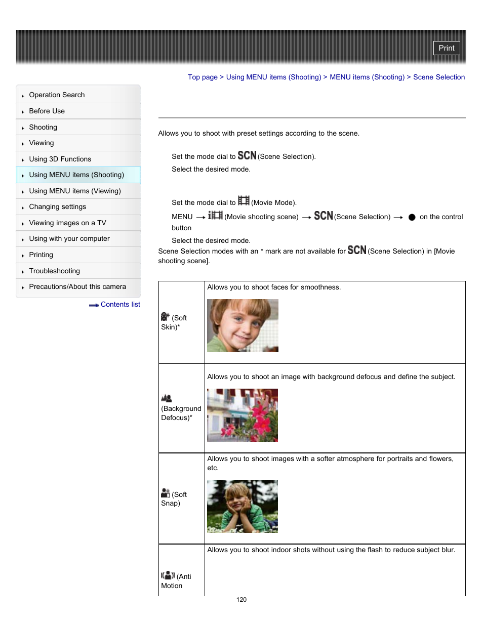 Scene selection, Details | Sony DSC-HX100V User Manual | Page 120 / 297