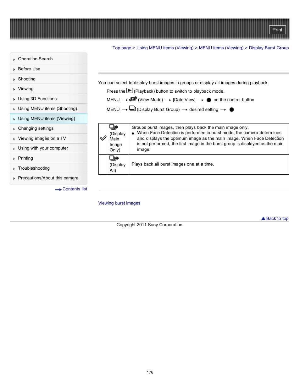 Display burst group | Sony DSC-HX100V User Manual | Page 176 / 297