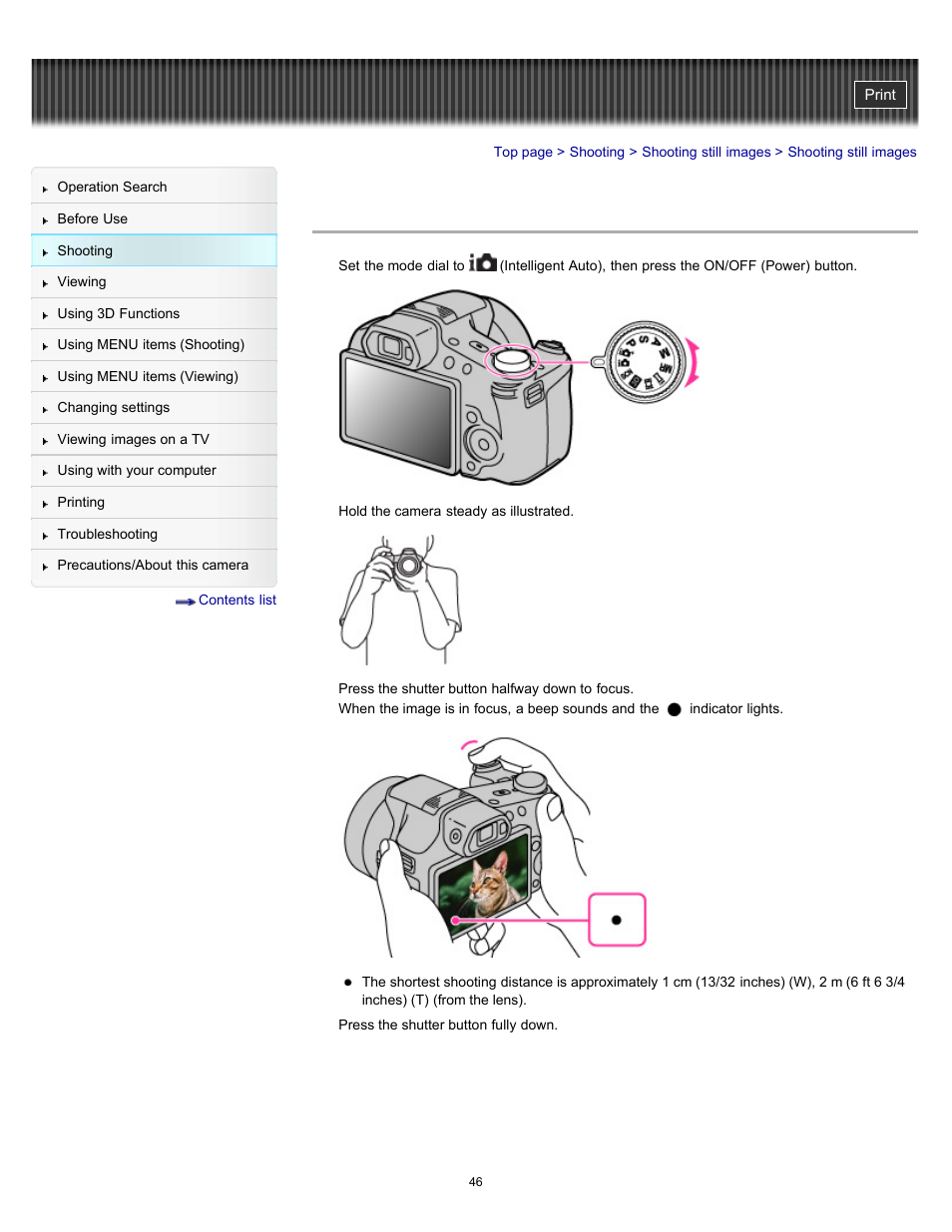 Shooting still images | Sony DSC-HX100V User Manual | Page 46 / 297