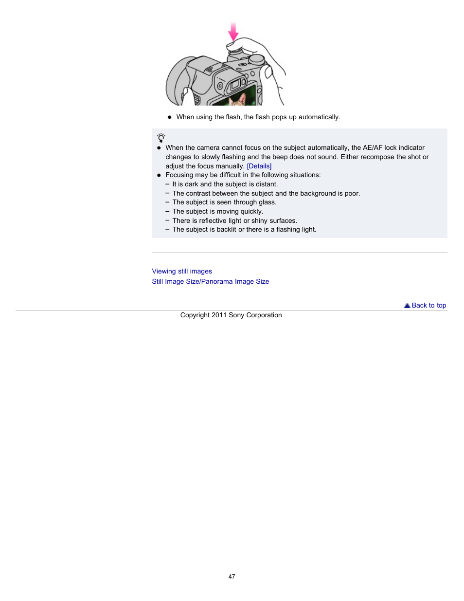 Sony DSC-HX100V User Manual | Page 47 / 297