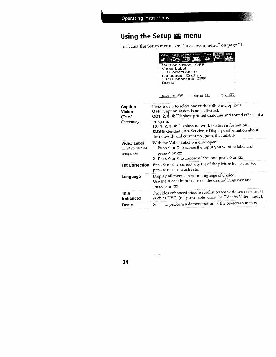 Using the setup ^ menu, Caption, Vision | Video label, Tilt correction, Language, Enhanced, Demo, Operating instructions | Sony WEGA KV-32FS12 User Manual | Page 43 / 53