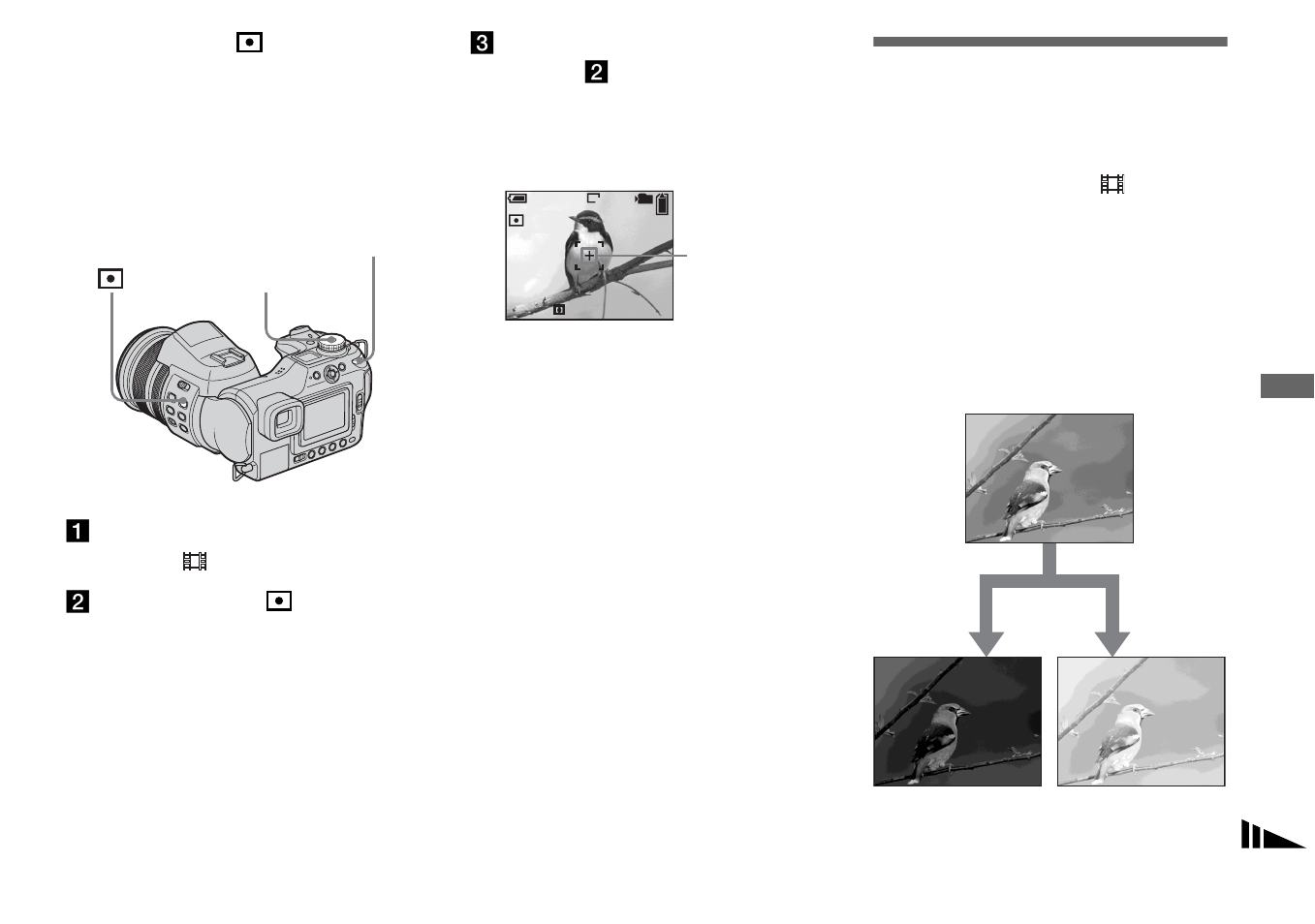 Adjusting the exposure, Ev adjustment | Sony DSC-F828 User Manual | Page 59 / 160