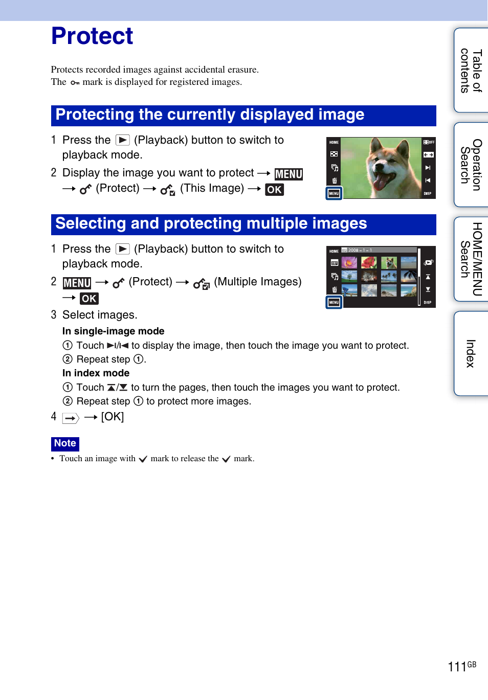 Protect), Protect | Sony DSC-G3 User Manual | Page 111 / 178
