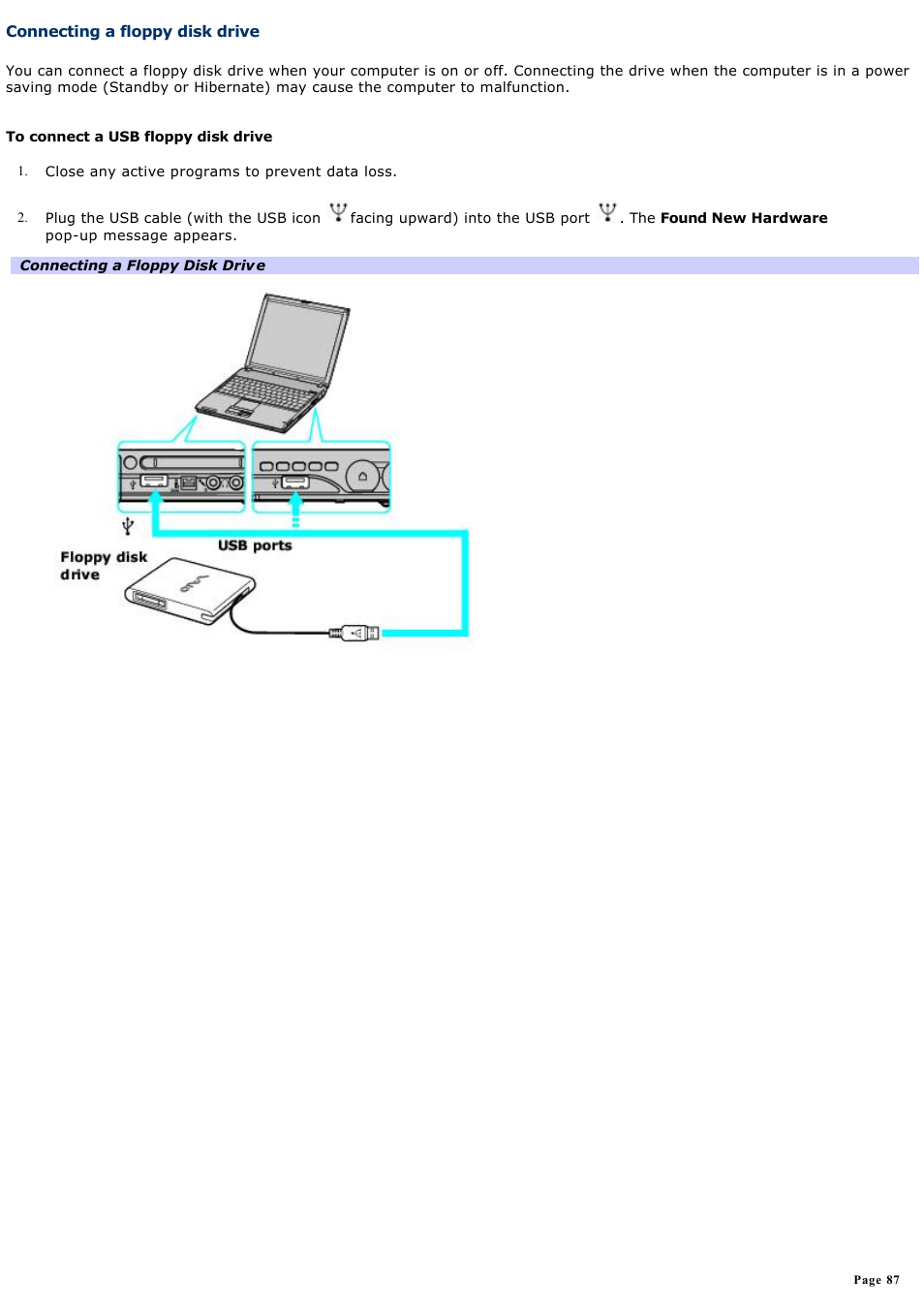 Connecting a floppy disk drive | Sony PCG-V505AC User Manual | Page 87 / 164