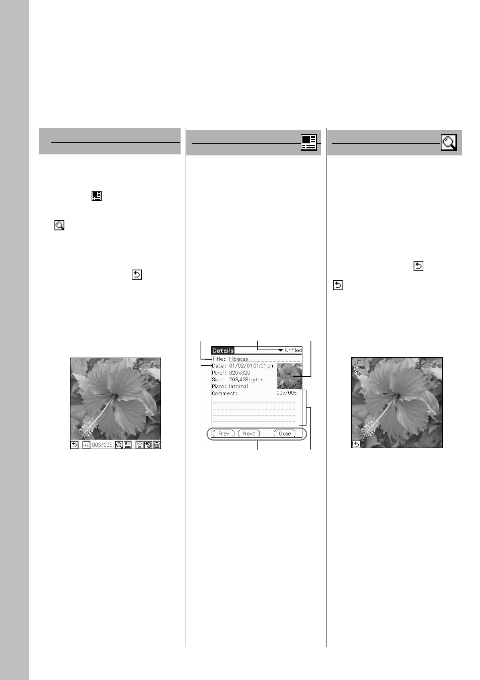 Full screen mode (browse mode), Information mode (browse mode), Zoom mode (browse mode) | Full screen mode, Zoom mode, Information mode | Sony PEG-N610C User Manual | Page 10 / 29