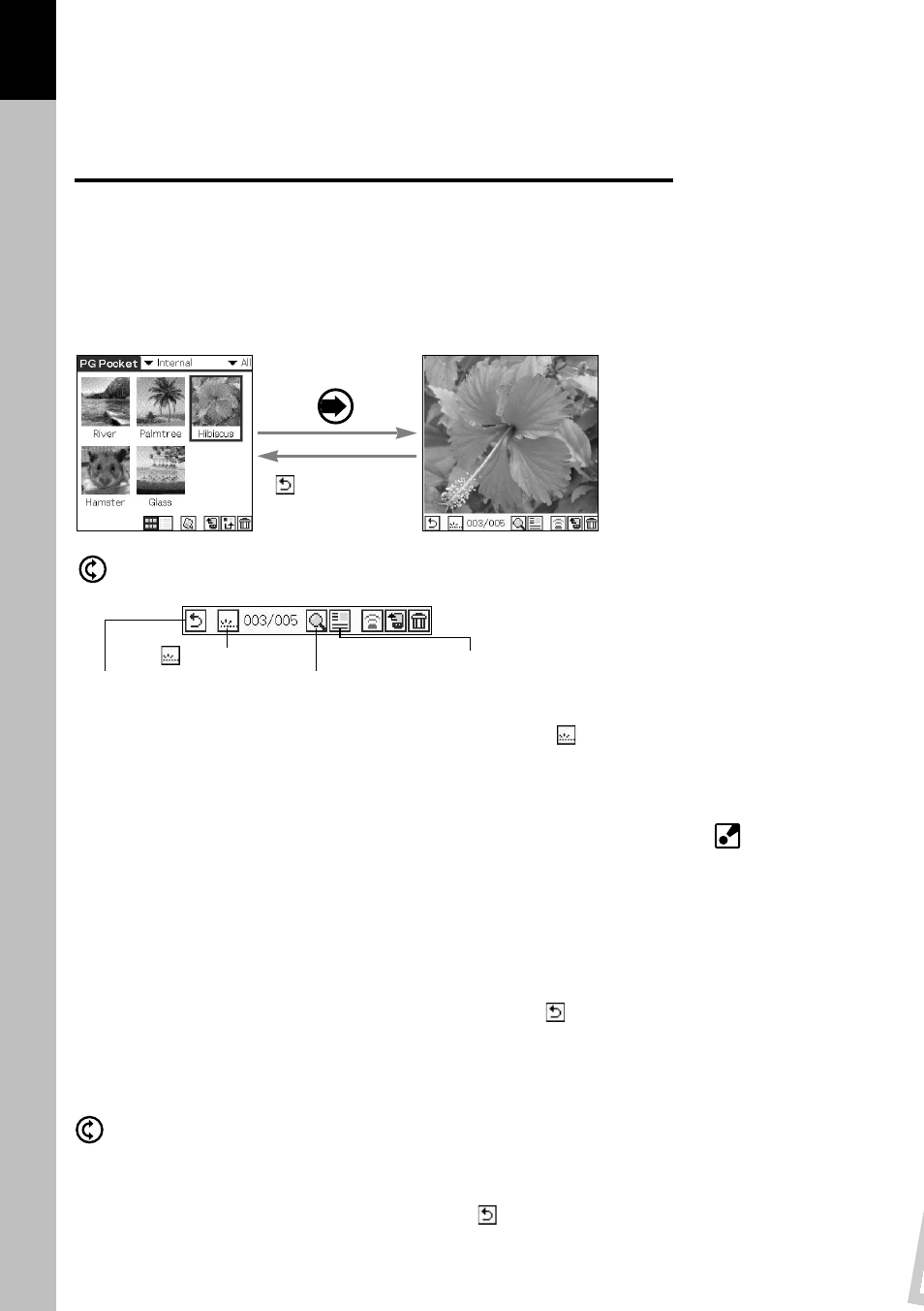 Viewing pictures, Viewing and organizing pictures | Sony PEG-N610C User Manual | Page 14 / 29