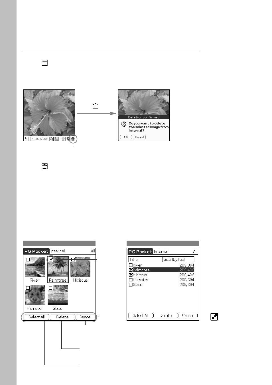 Deleting, Viewing and organizing pictures | Sony PEG-N610C User Manual | Page 18 / 29