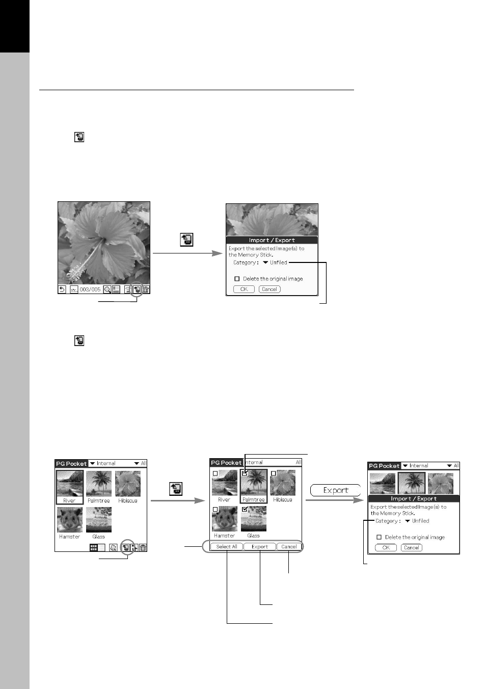 Export, Viewing and organizing pictures | Sony PEG-N610C User Manual | Page 20 / 29