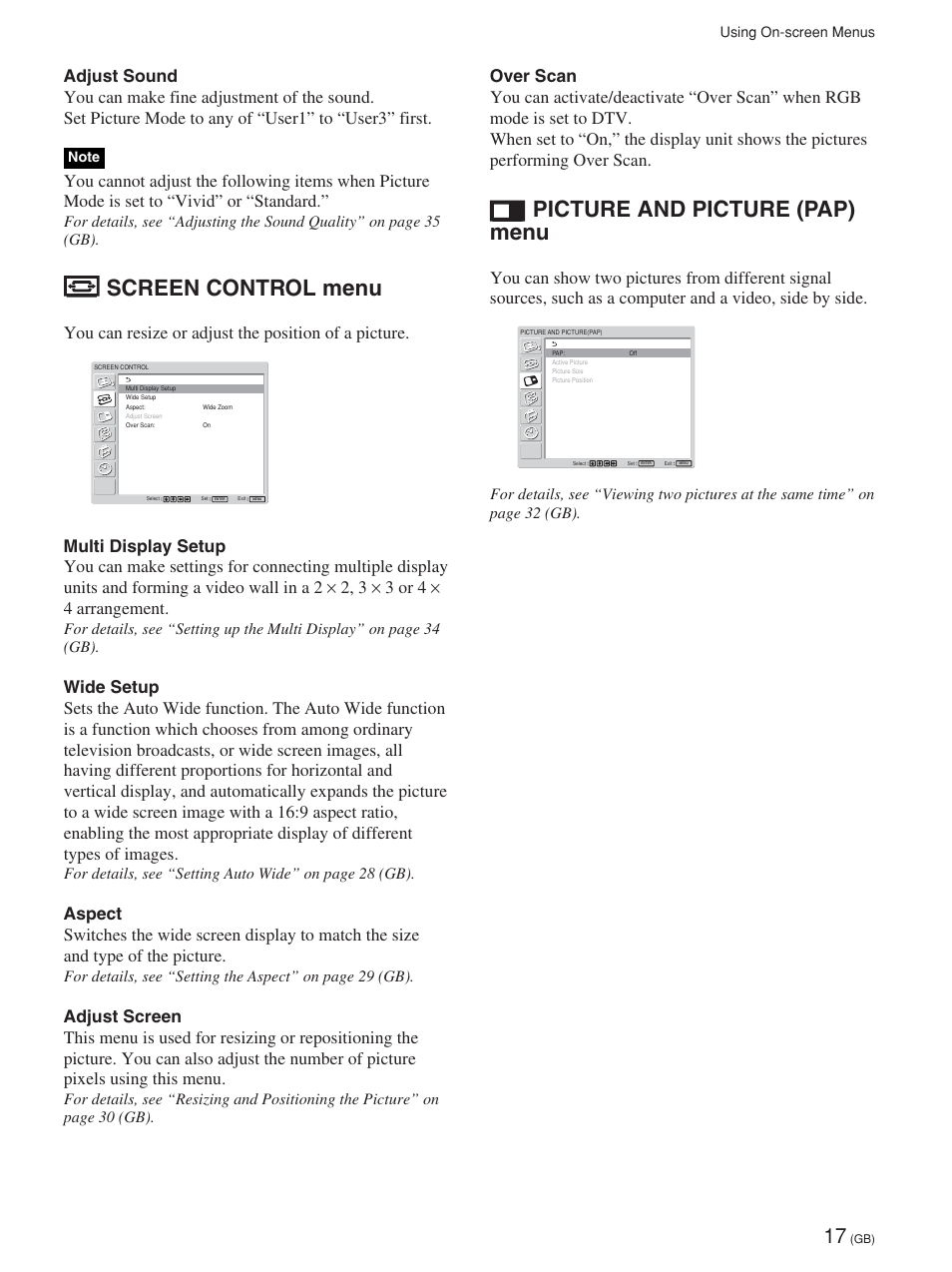 Screen control menu, Picture and picture (pap) menu, You can resize or adjust the position of a picture | Sony FWD-32LX1R User Manual | Page 17 / 45