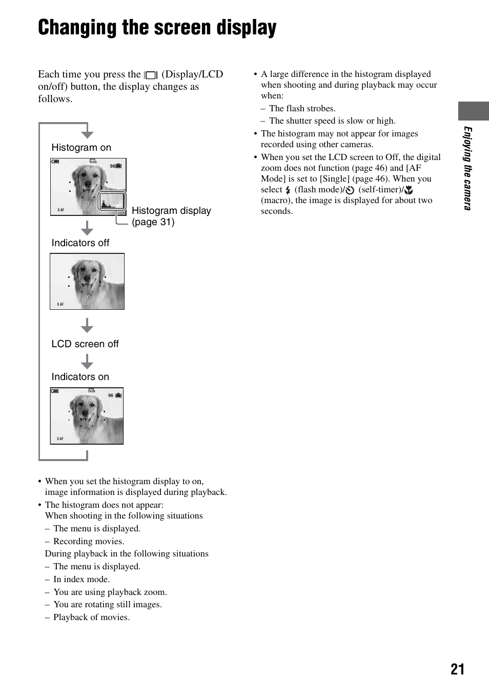 Changing the screen display | Sony DSC-S90 User Manual | Page 21 / 103