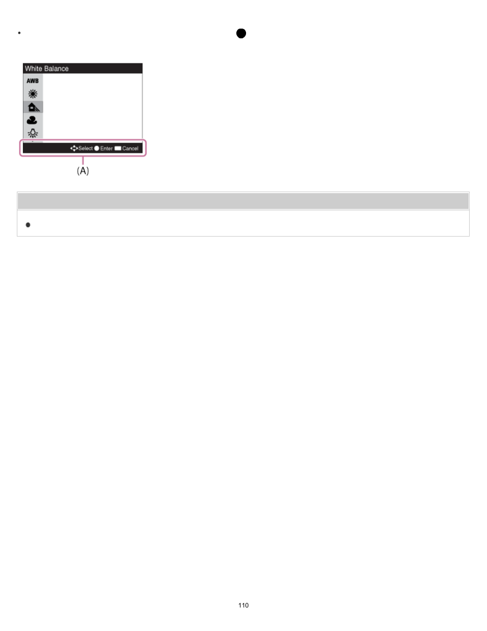Sony DSC-RX10 User Manual | Page 119 / 422