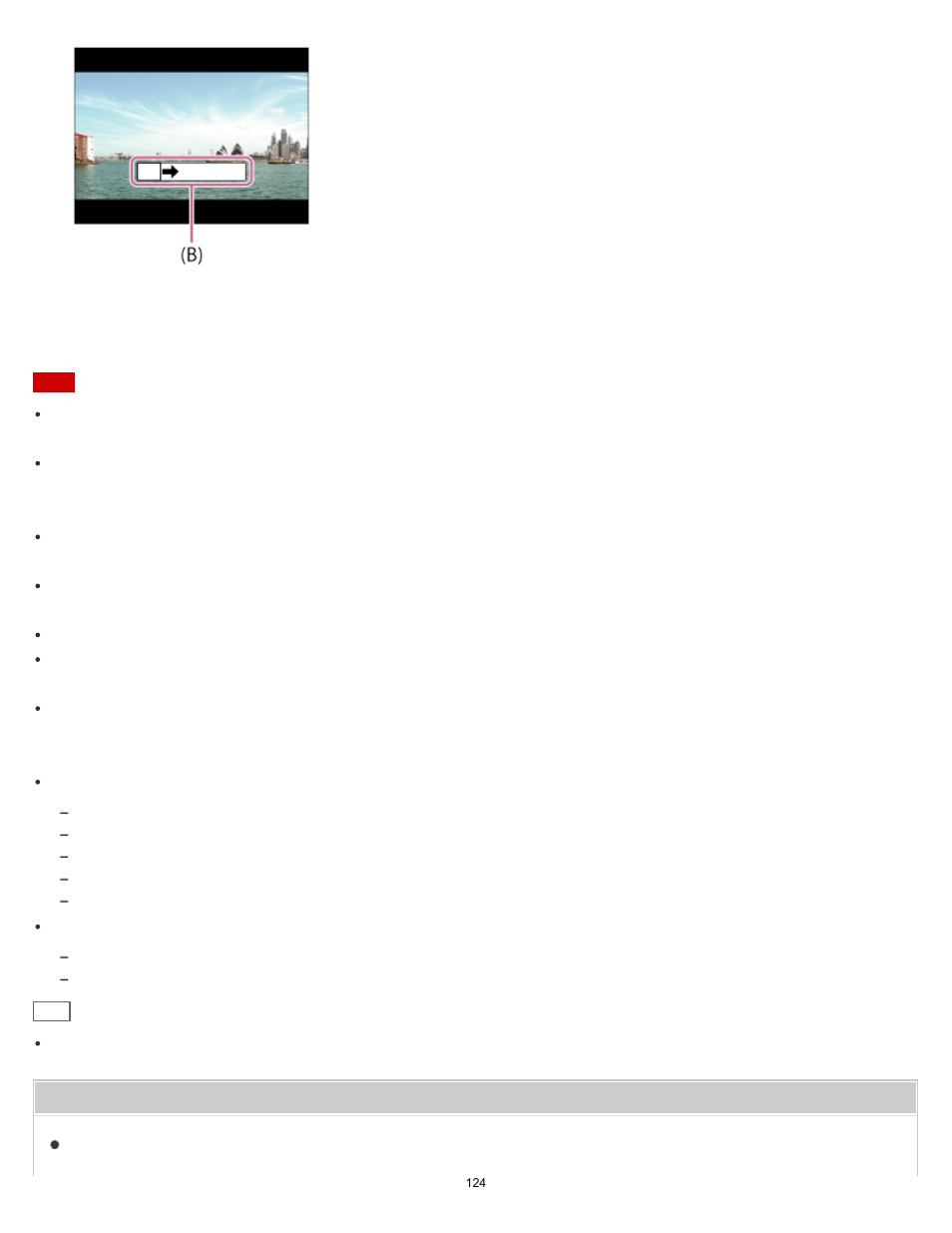 Sony DSC-RX10 User Manual | Page 133 / 422