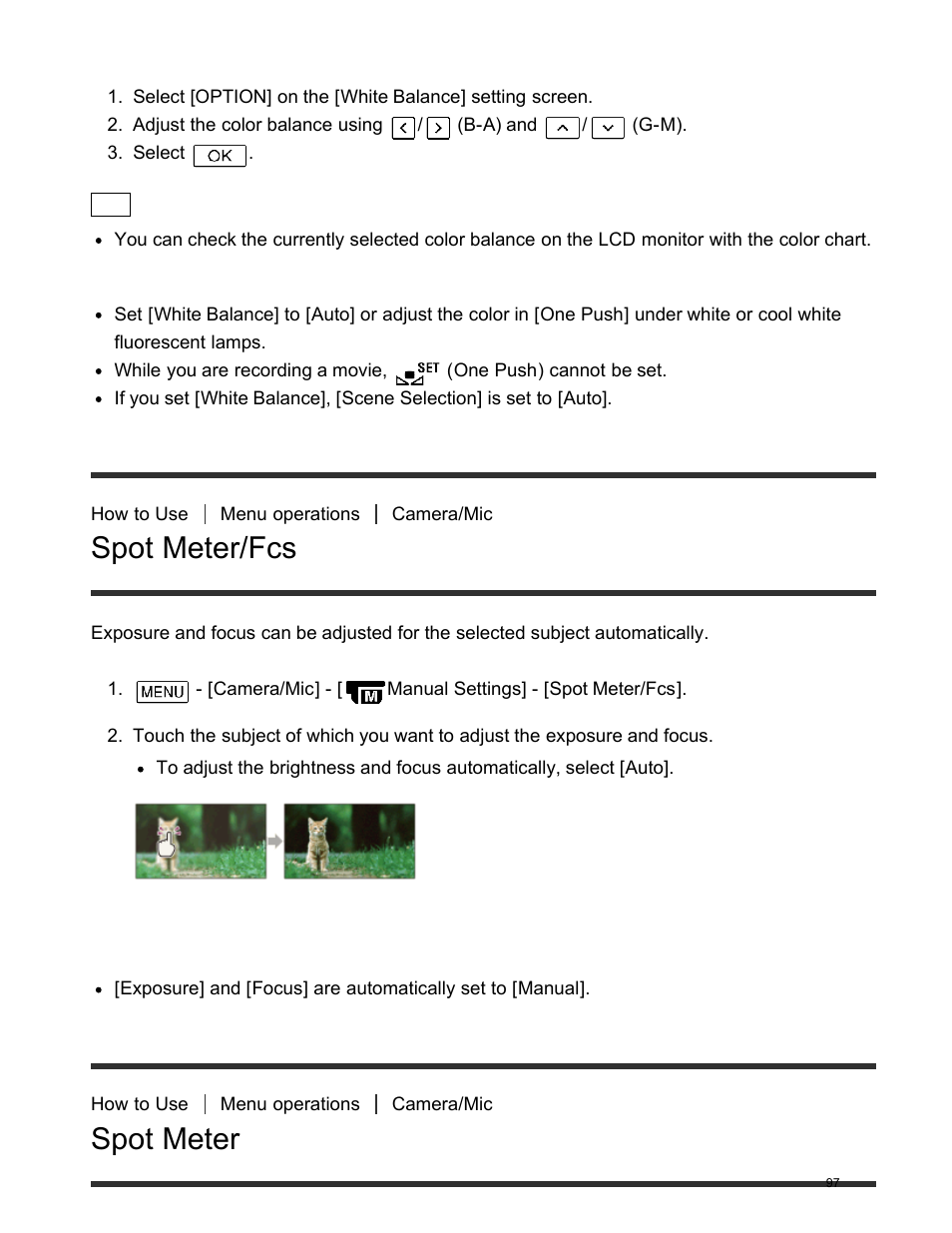 Spot meter/fcs, Spot meter, Adjusting the white balance manually | Sony FDR-AX100 User Manual | Page 109 / 204