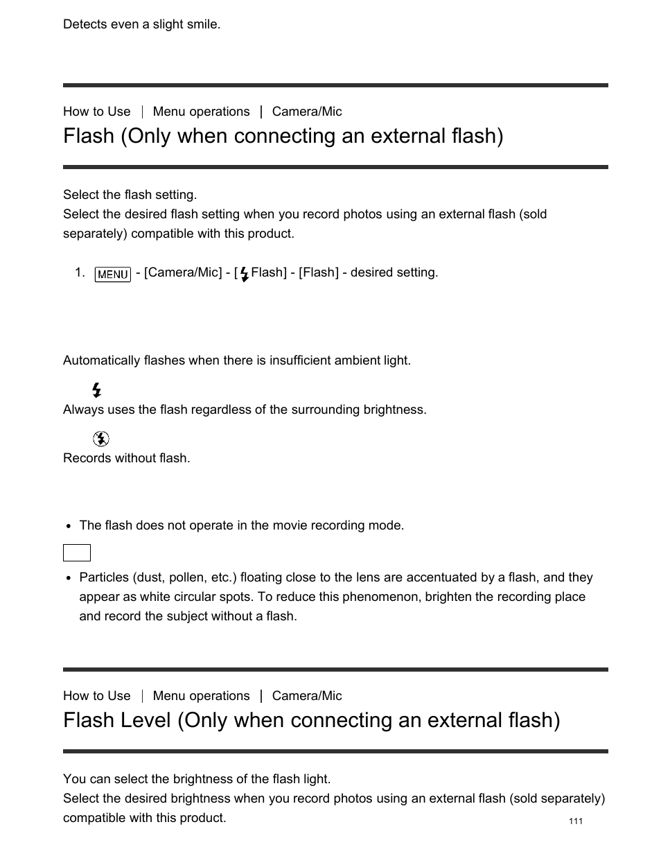 Flash (only when connecting an external flash) | Sony FDR-AX100 User Manual | Page 123 / 204