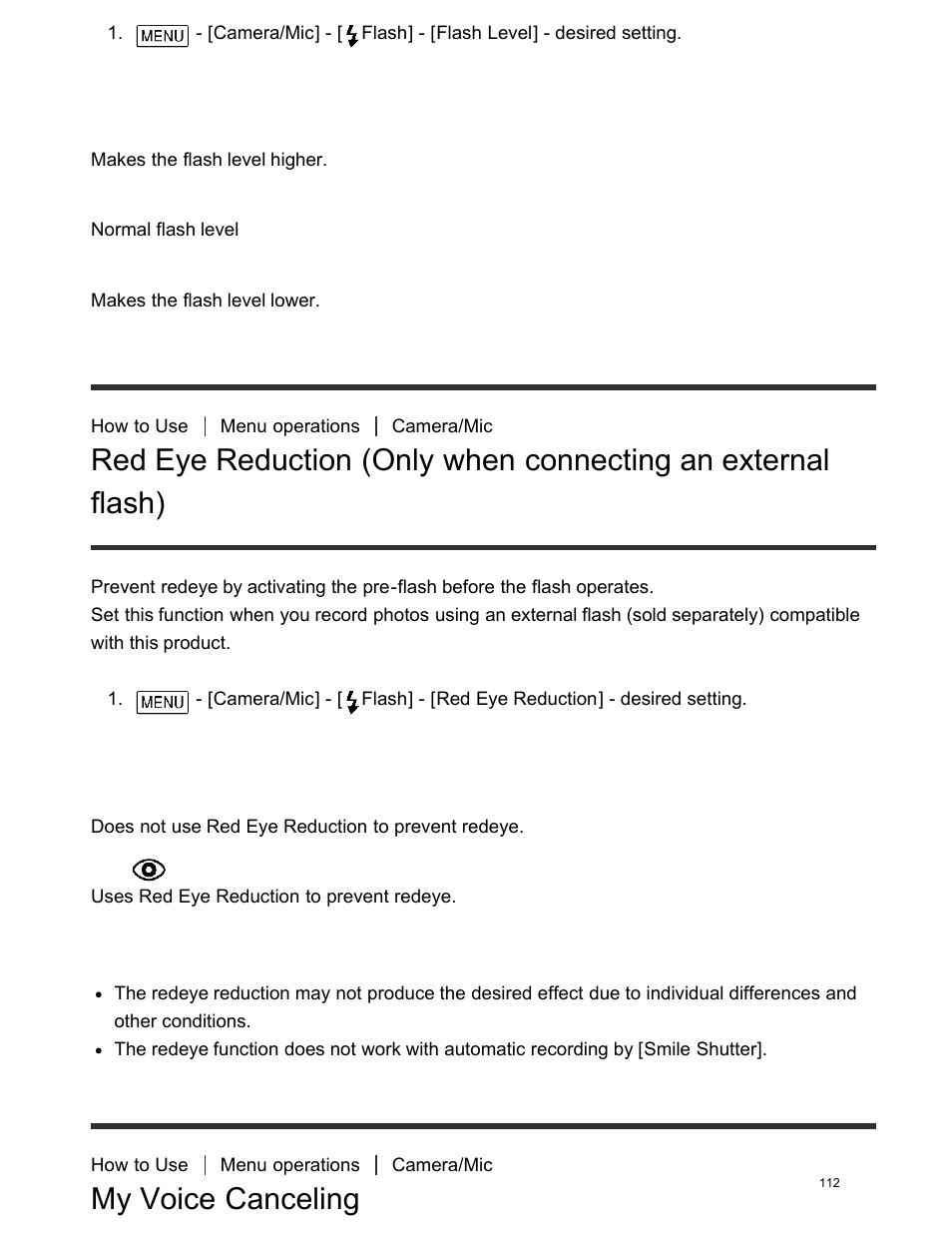 My voice canceling, Flash) | Sony FDR-AX100 User Manual | Page 124 / 204