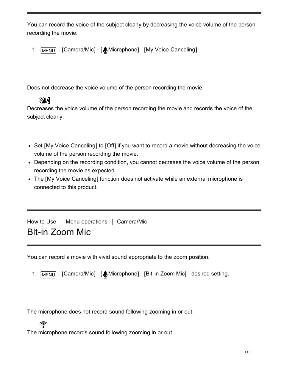 Blt-in zoom mic, Descriptions of menu items | Sony FDR-AX100 User Manual | Page 125 / 204