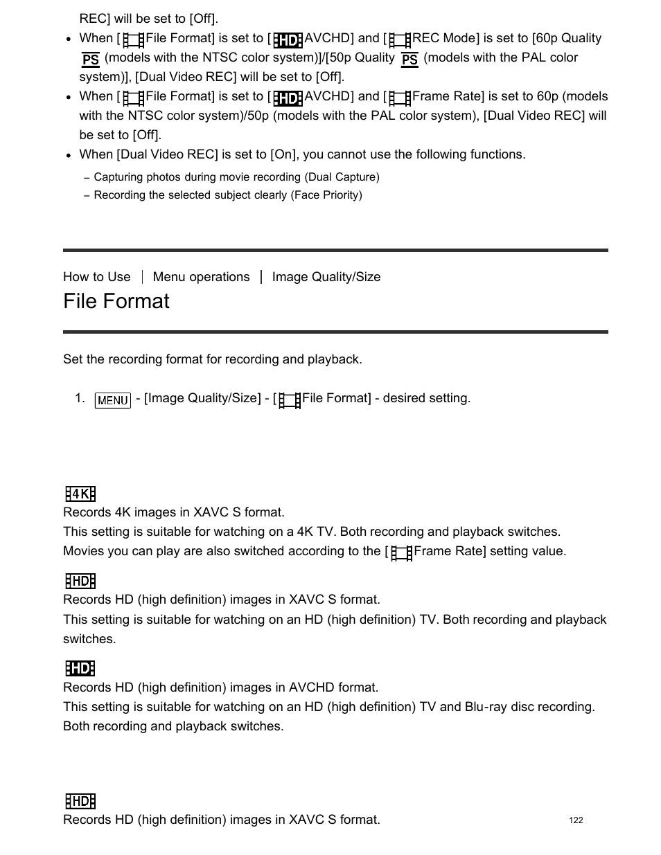 File format, Descriptions of menu items | Sony FDR-AX100 User Manual | Page 134 / 204