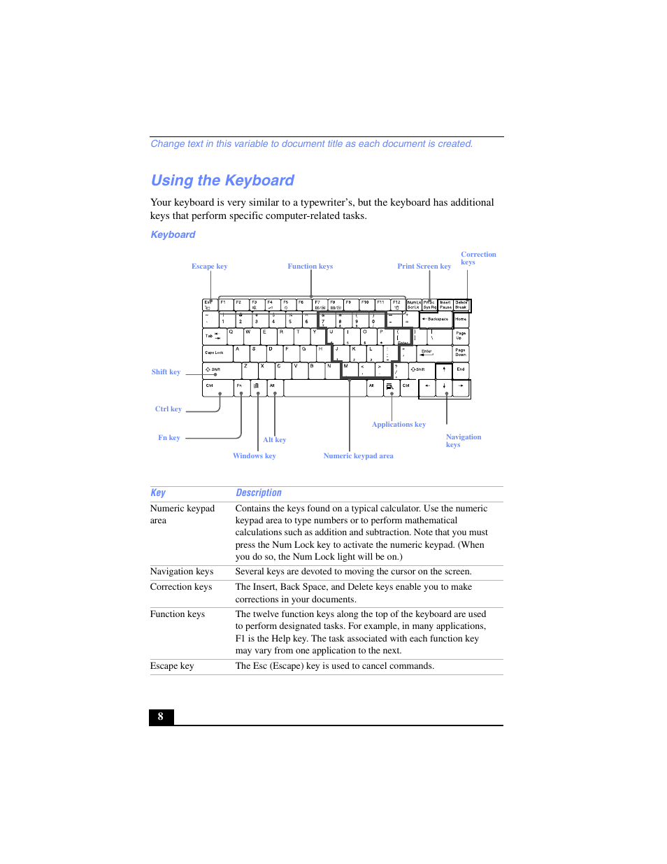 Using the keyboard | Sony PCG-FX250 User Manual | Page 8 / 138