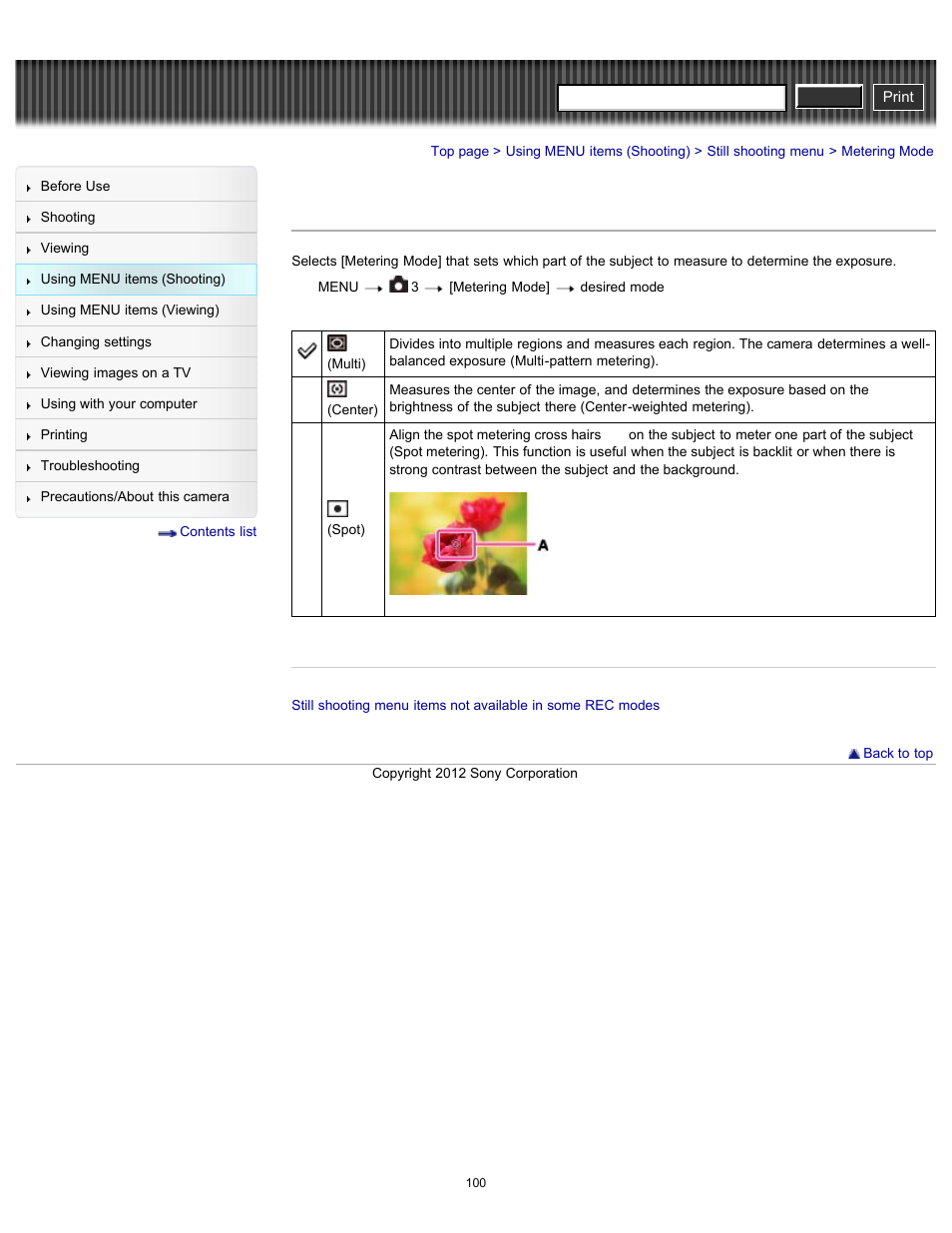 Metering mode, Cyber-shot user guide | Sony DSC-RX100 User Manual | Page 107 / 259