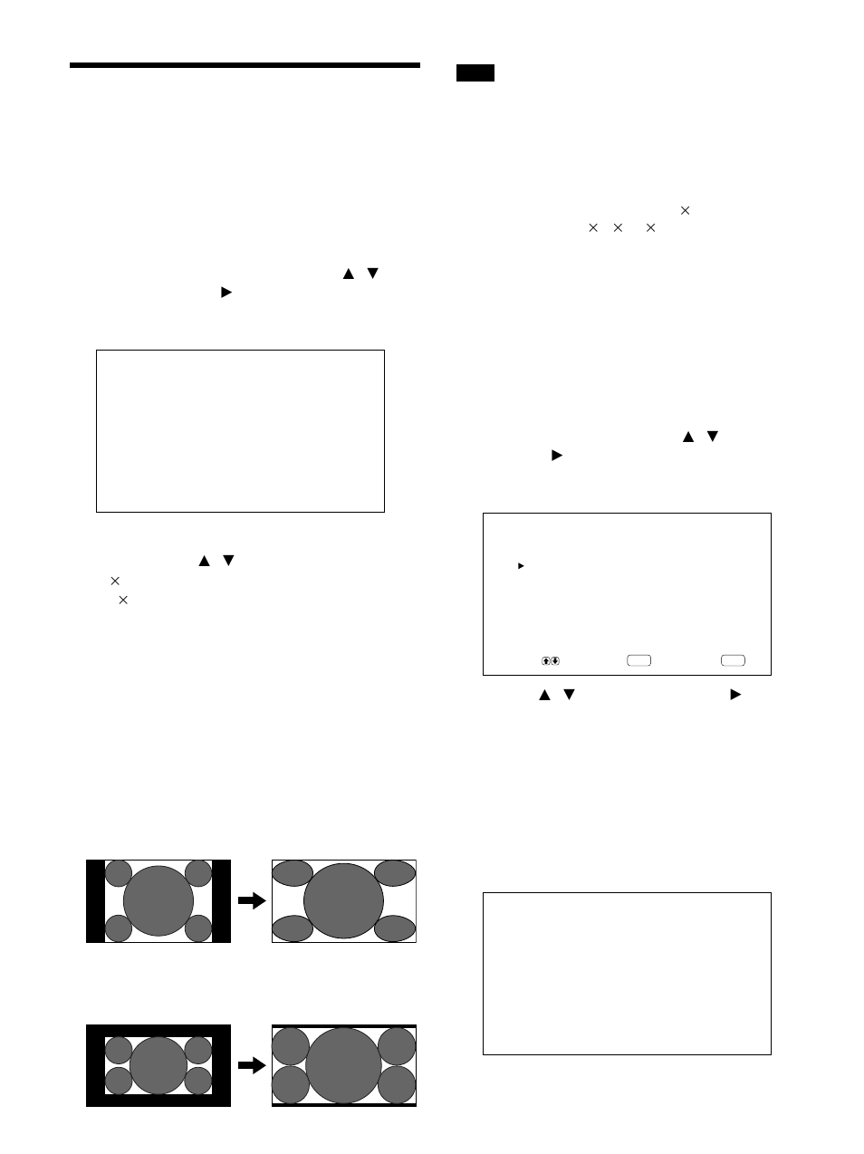 Modifica del rapporto di formato, Regolazione della linearità | Sony PFM-42B2H User Manual | Page 276 / 294