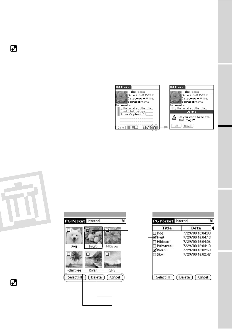 Deleting, Picturegear pocket | Sony PEG-S360 User Manual | Page 17 / 31