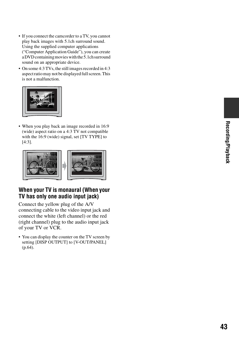 Sony DCR-SR100 User Manual | Page 43 / 107
