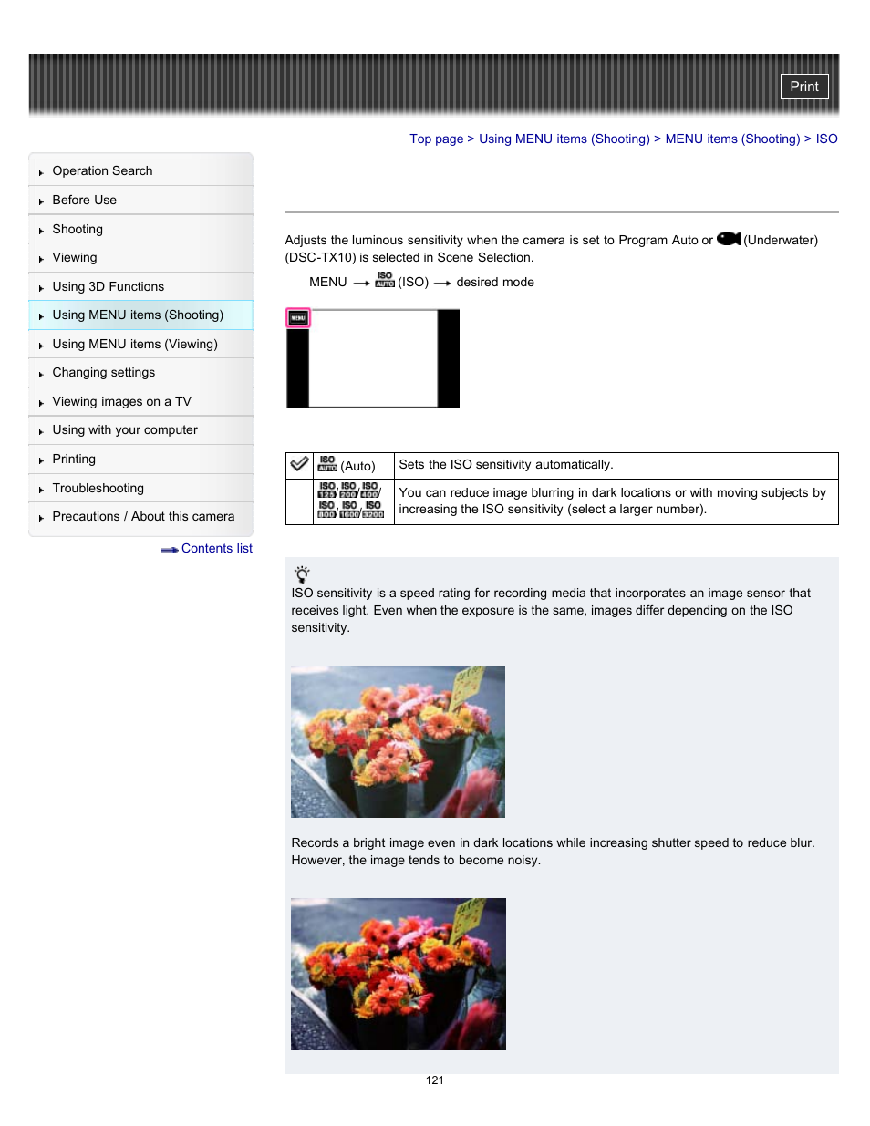 Sony DSC-TX10 User Manual | Page 121 / 296