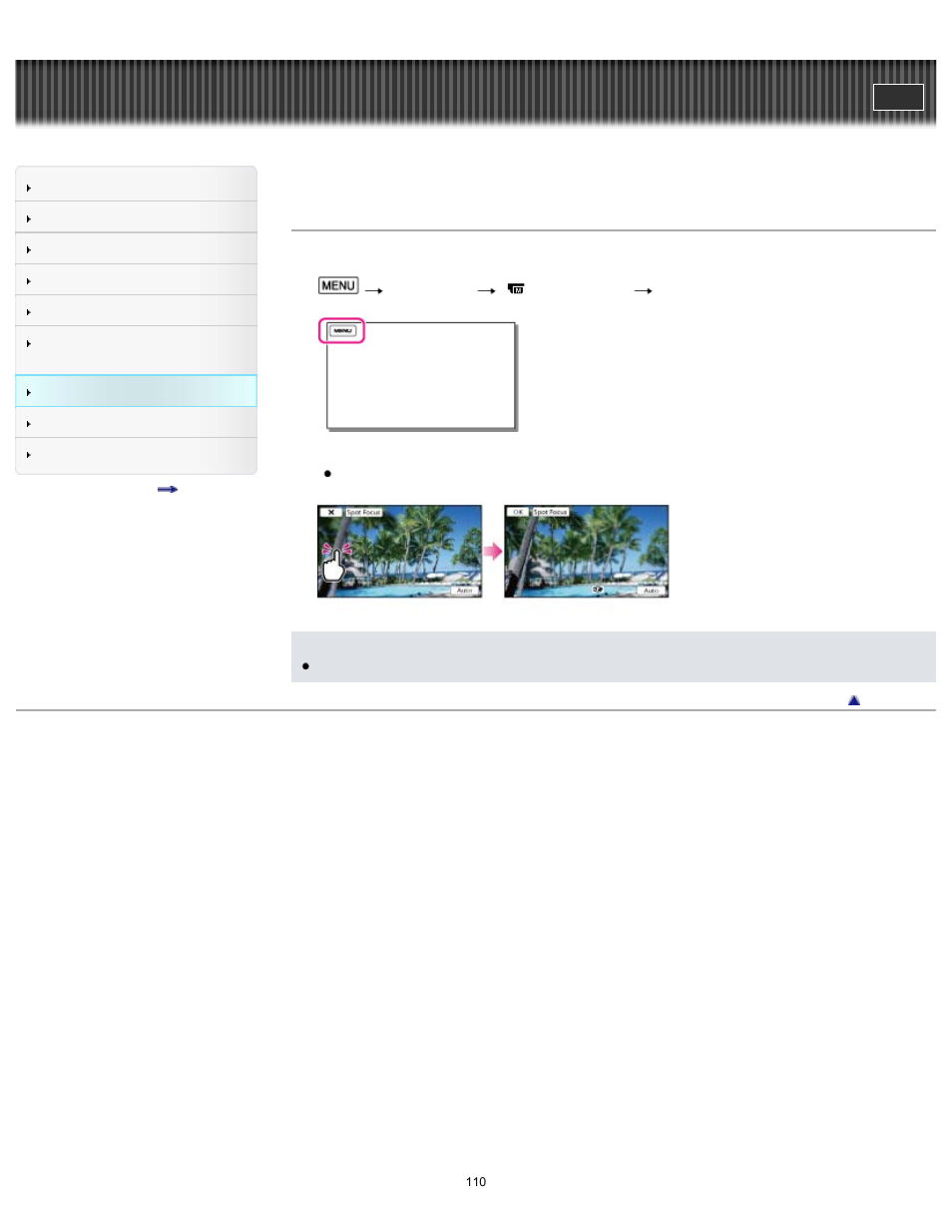 Spot focus (2d only), Handycam" user guide | Sony HDR-TD30V User Manual | Page 110 / 250