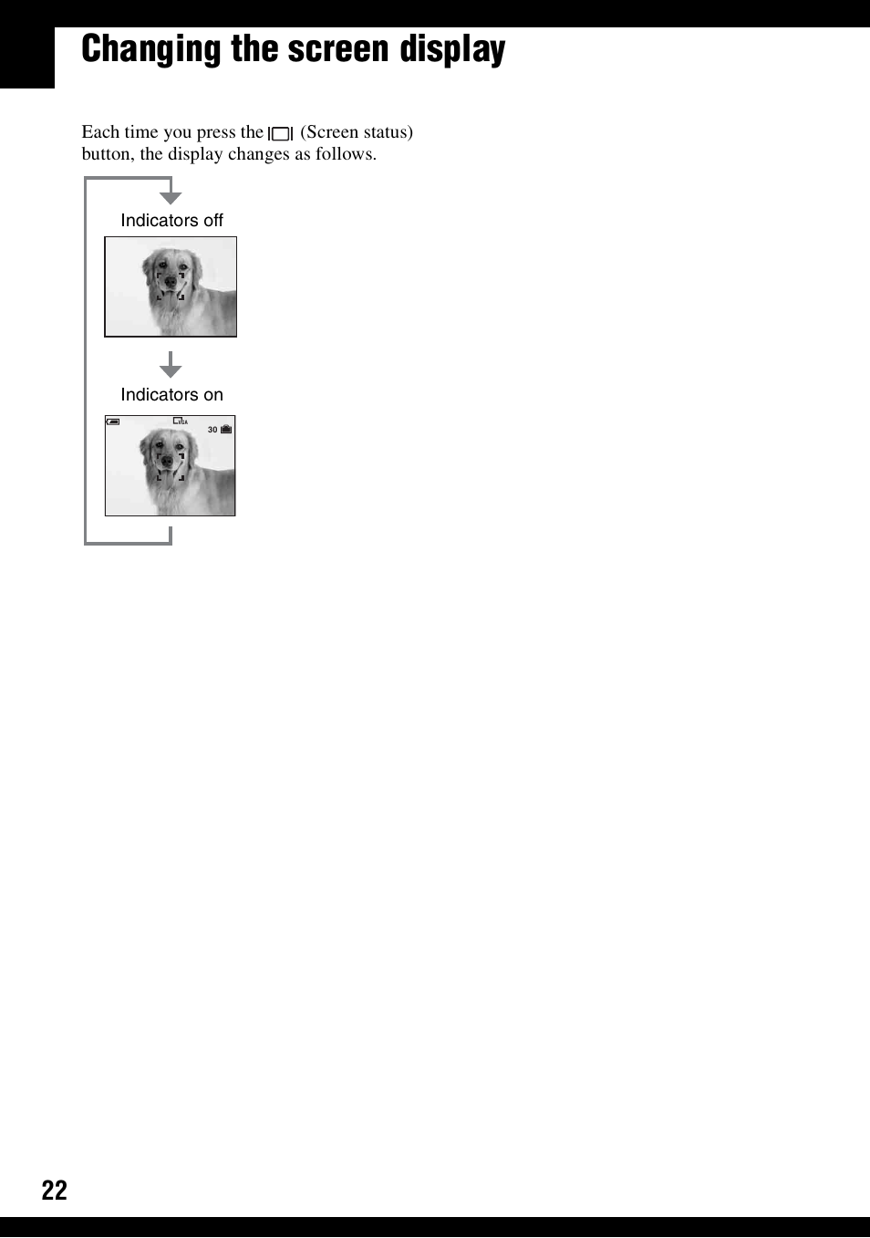 Changing the screen display | Sony DSC-S500 User Manual | Page 22 / 96