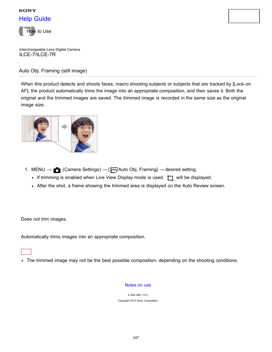 Auto obj. framing (still image), Help guide | Sony ILCE-7K User Manual | Page 256 / 455