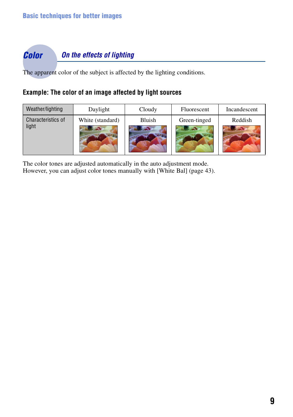 Color - on the effects of lighting, Color, On the effects of lighting | Sony DSC-T20 User Manual | Page 9 / 119