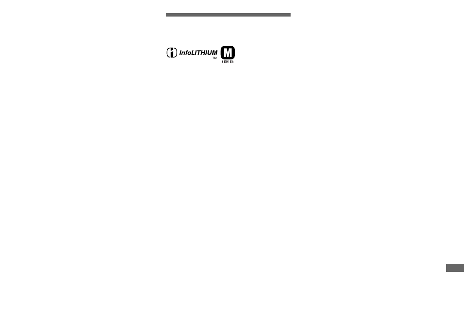 On “infolithium” battery pack | Sony DSC-F717 User Manual | Page 115 / 124