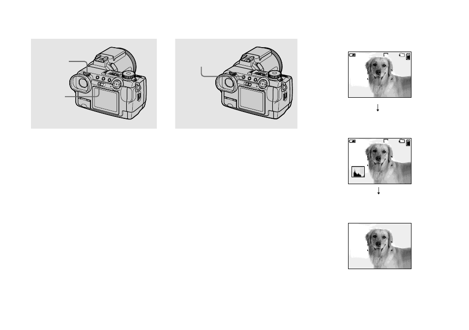 Shooting images with the finder, Indicators on the screen during shooting, Shooting | Sony DSC-F717 User Manual | Page 22 / 124