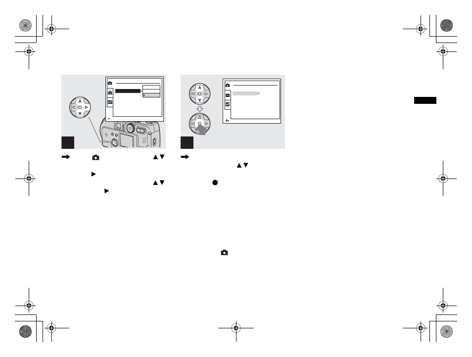 Sony DSC-P31 User Manual | Page 33 / 108