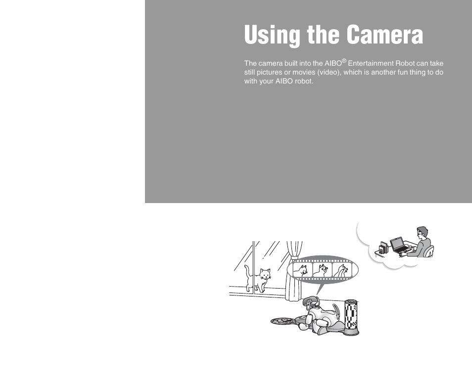 Using the camera | Sony ERS-7M3 User Manual | Page 32 / 99