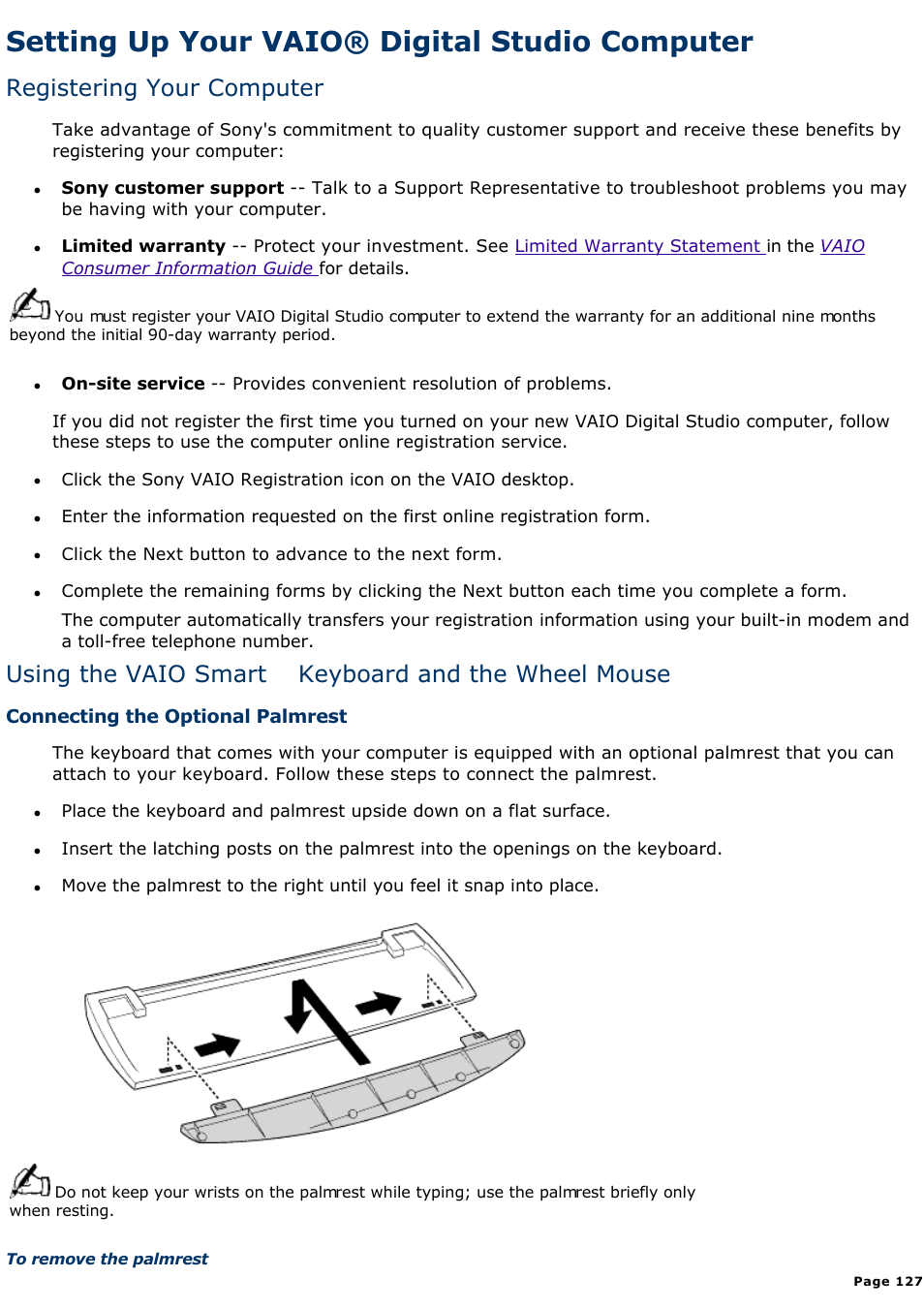 Setting up your vaio® digital studio computer, Setting up your vaio® digital studio computer, Registering your computer | Using the vaio smart keyboard and the wheel mouse | Sony PCV-R549DS User Manual | Page 127 / 514