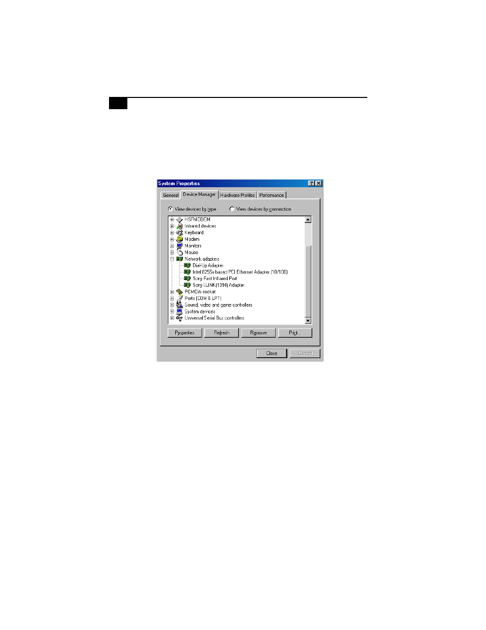 Device manager, Enabling a network | Sony PCG-Z505HS User Manual | Page 6 / 16