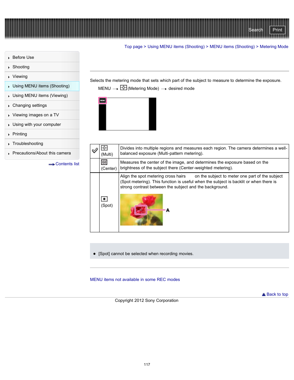 Metering mode, Cyber-shot user guide | Sony DSC-TX20 User Manual | Page 117 / 262