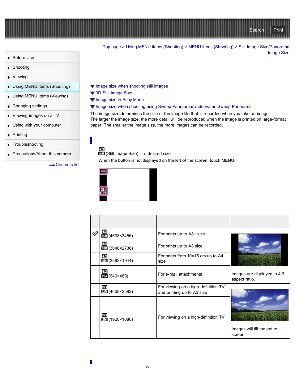 Still image size/panorama image size, Details, Cyber-shot user guide | Sony DSC-TX20 User Manual | Page 96 / 262