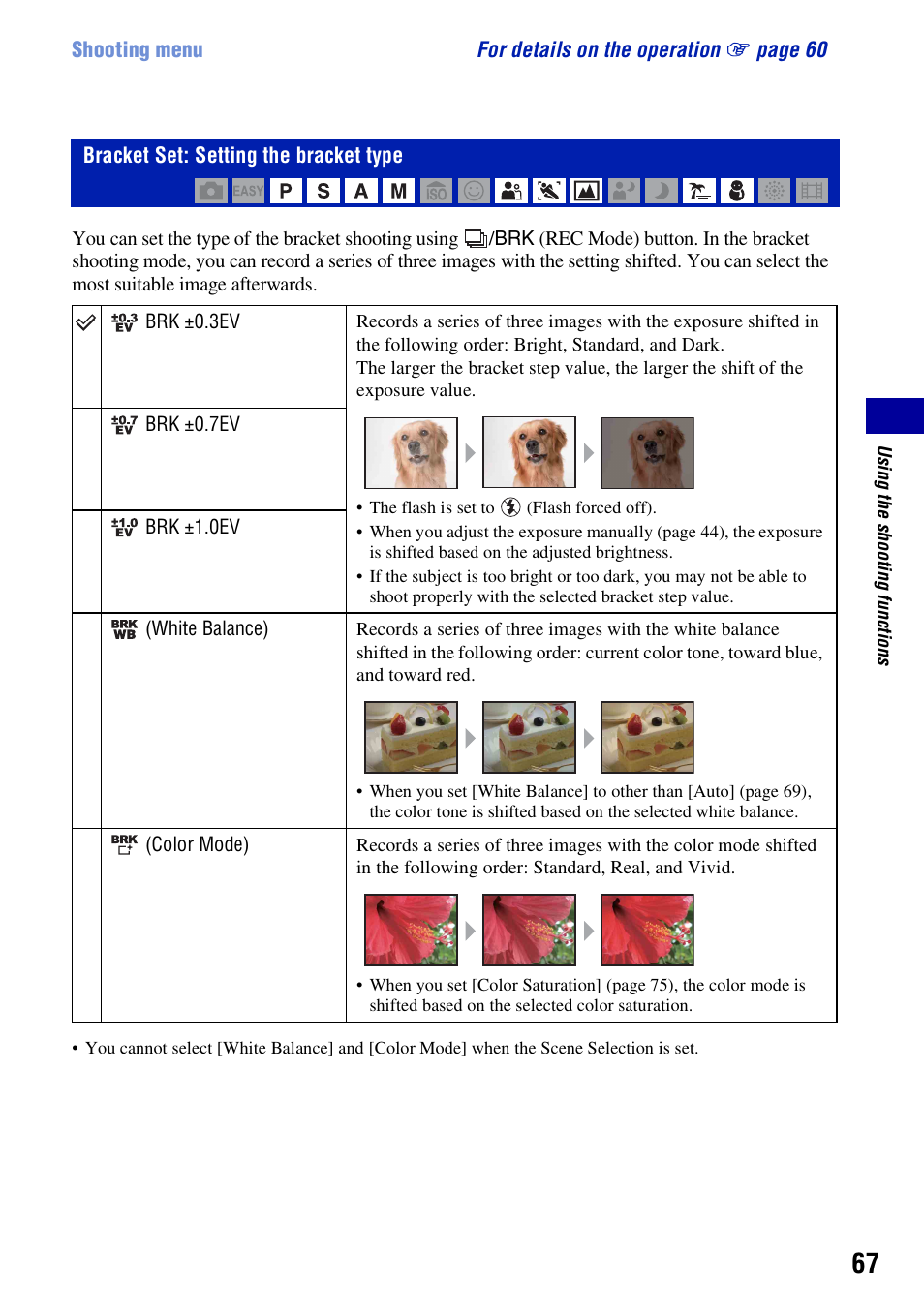 Bracket set: setting the bracket type, T (67) | Sony DSC-H50 User Manual | Page 67 / 154