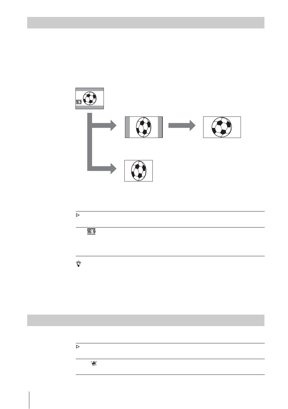 9 wide, Steadyshot | Sony DCR-IP1 User Manual | Page 54 / 116