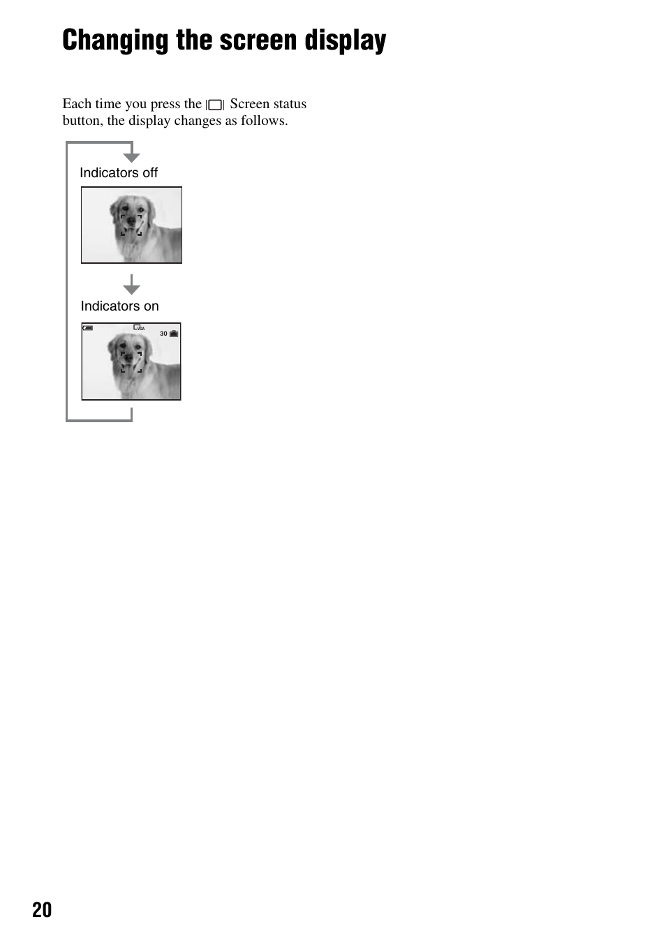 Changing the screen display | Sony DSC-S45 User Manual | Page 20 / 91