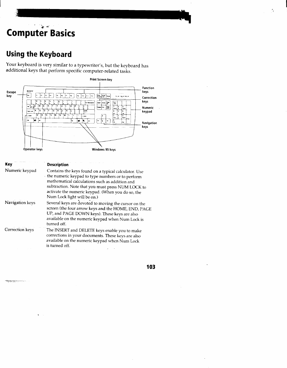 Computer basics, Using the keyboard | Sony PCV-90 User Manual | Page 110 / 155