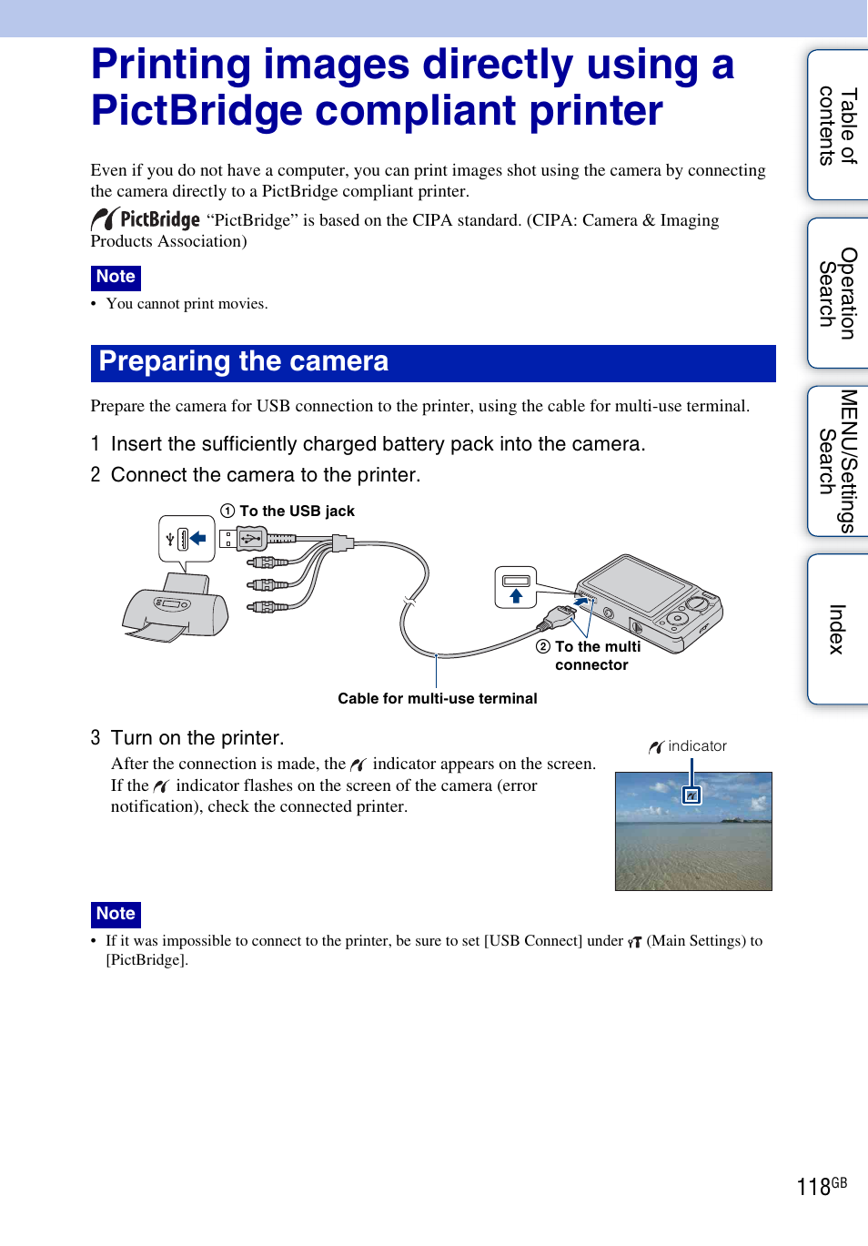 Print), Preparing the camera | Sony DSC-W290 User Manual | Page 118 / 145